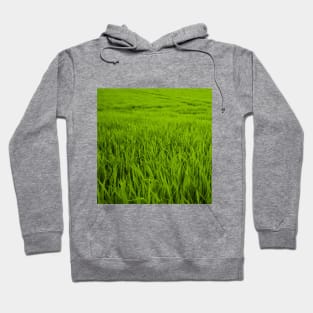 SCENERY 95 - Green Grass Field Outdoor Land Lawn Hoodie